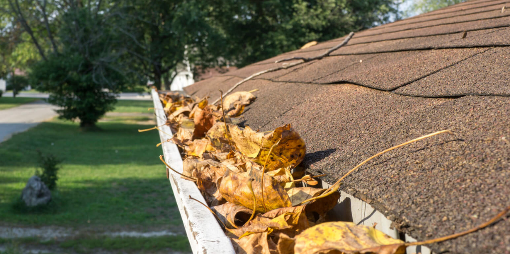 Gutter Cleaning Services in Mount Pleasant TX