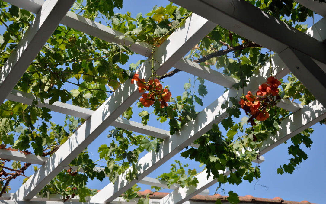 What is the Difference Between A Pergola and Lattice Cover?