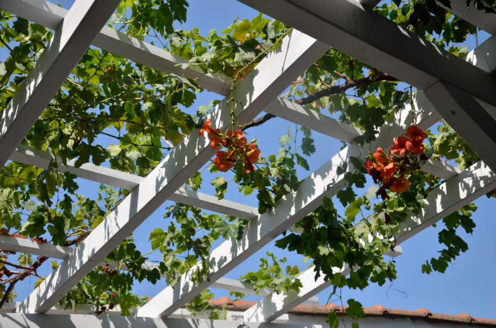 What is the Difference Between A Pergola and Lattice Cover?